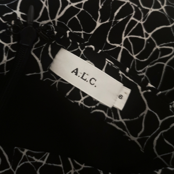 A.L.C. Silk Pencil Midi Skirt Crakle-Print design - Picture 5 of 9